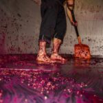 Cleaning out a Pinot Noir tank during vintage 2012.