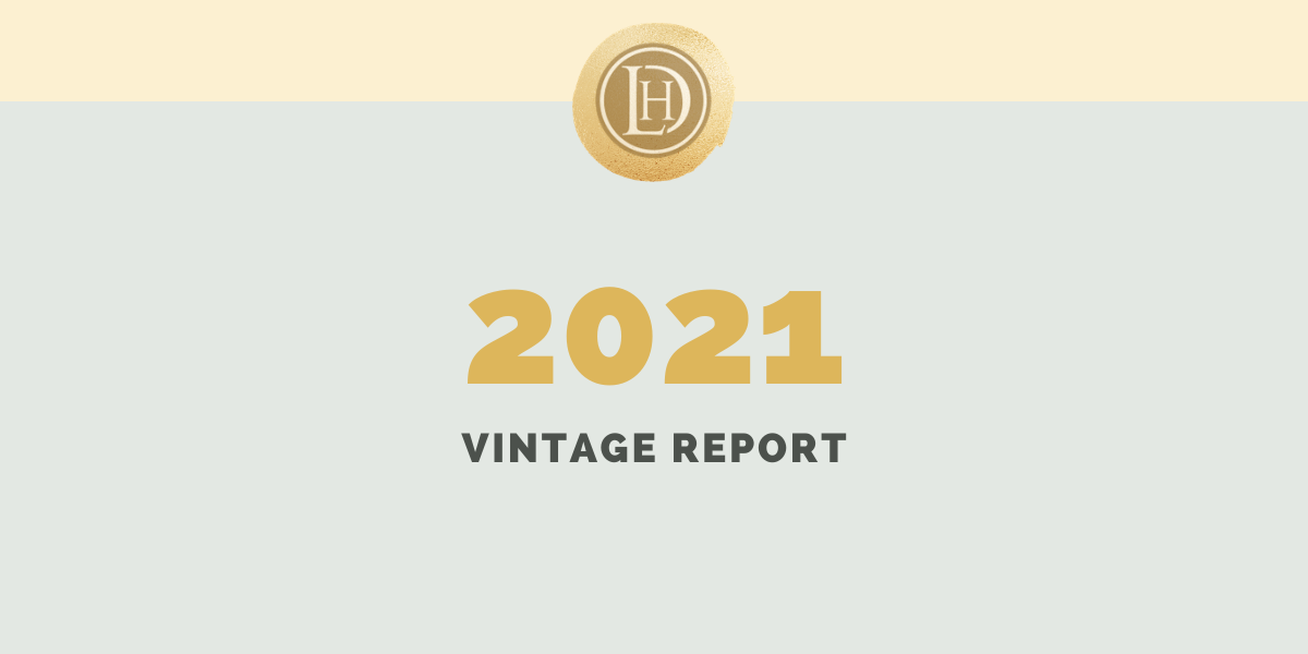 Notes on the 2021 vintage