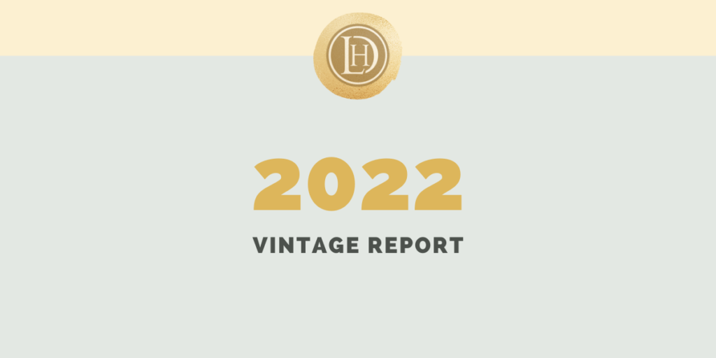 Notes on the 2022 vintage